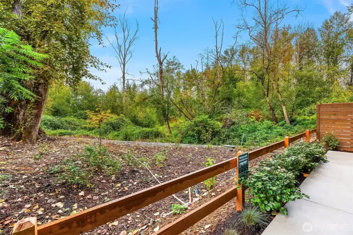 Enclave at Kelsey Creek is surrounded by 17 acres of open space   Photos are for illustrative purposes only