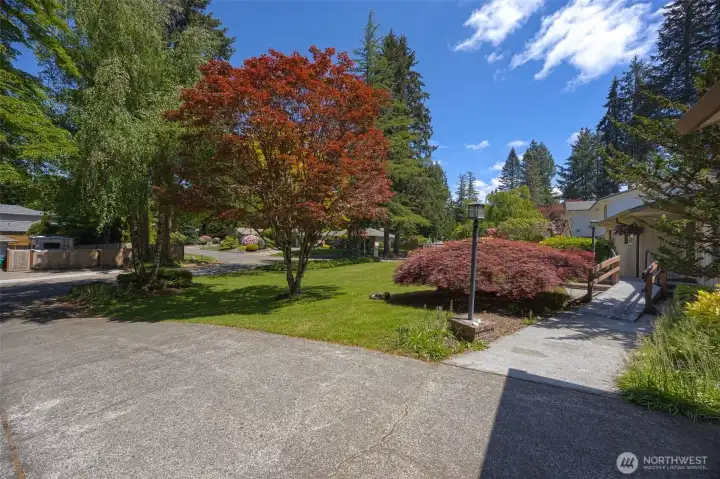 In the driveway, looking out over the very spacious front yard.