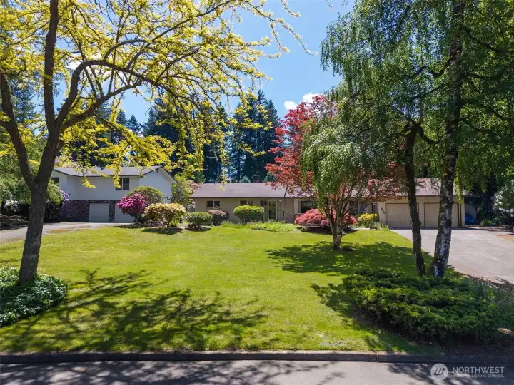 Sprawling front yard, with enchanting mature trees.