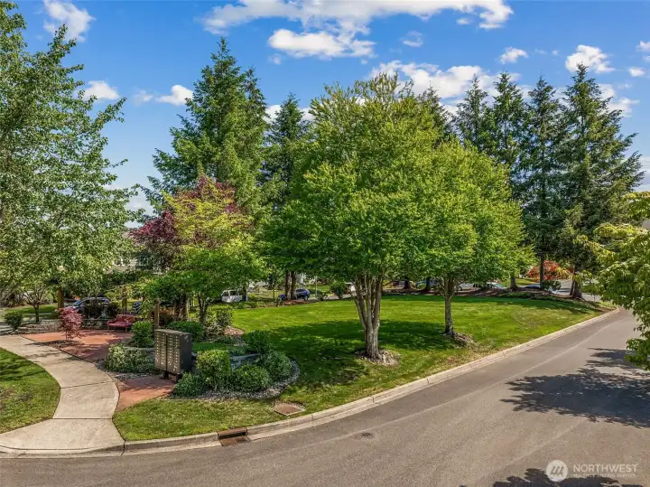 HOA maintained greenspace roundabout.