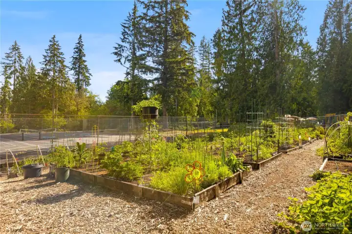 Community garden plots just off the tennis courts.