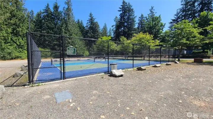 Pickle Ball courts have become a hot item in the community. Pickle Ball courts have become a hot item in the community.