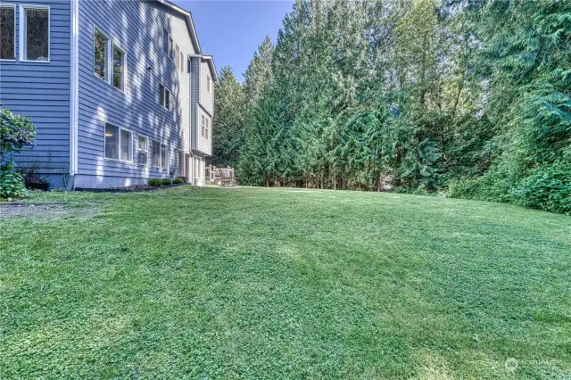 Check out the privacy in this HUGE back yard
