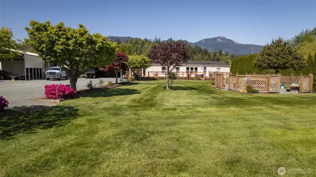 Mature landscaping with beautiful flowering trees, fruit trees and shrubs in a park-like setting.