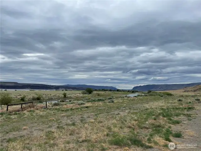 South view