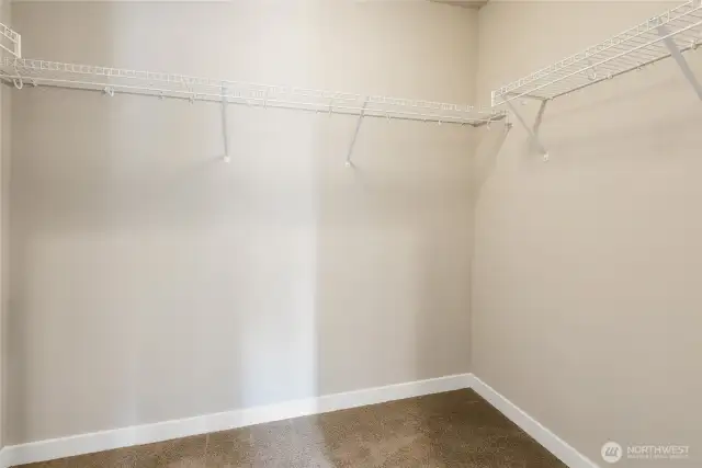 Walk in Closet in Master