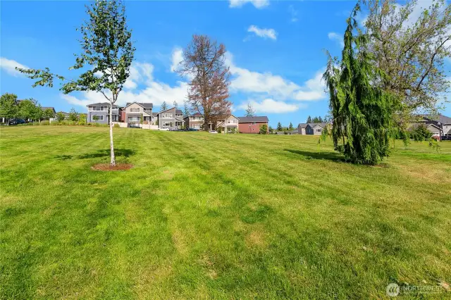 Neighborhood Park right out your front door maintained by HOA