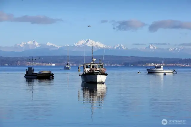 Langley marina
