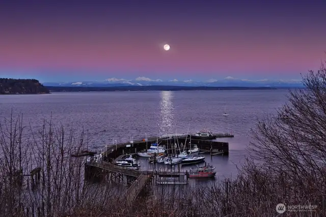 Moonrise Langley Marina