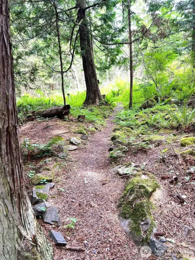 Trail to main road