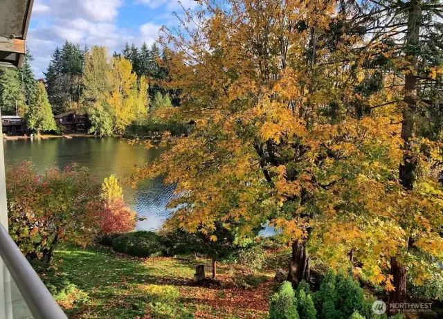 Photo from the unit looking out towards the lake in the fall months.