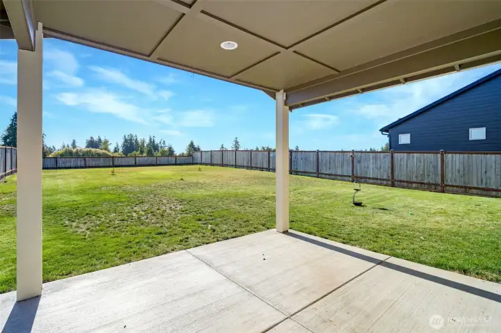 The fenced back yard