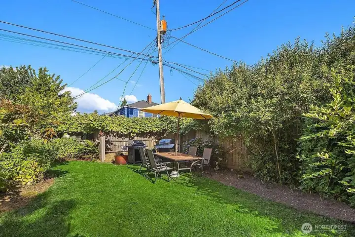 Beautiful landscaped backyard with grape bushes along the east fence line.
