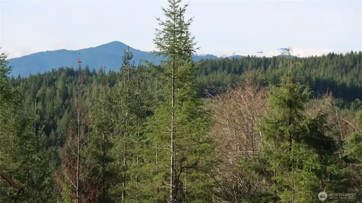 Mountain you can enjoy from the top.