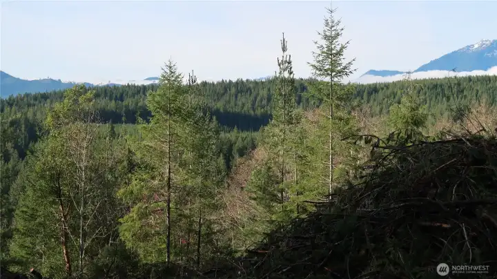 you're at the top of Paradise for one Dynamite View of the mountains.