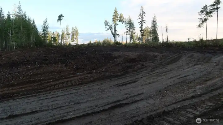 Almost to the top property.