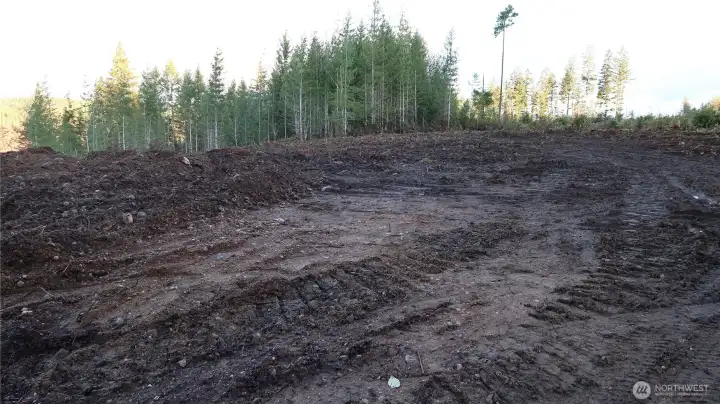 Nice BIG clear level area to enjoy no neighbors within view.