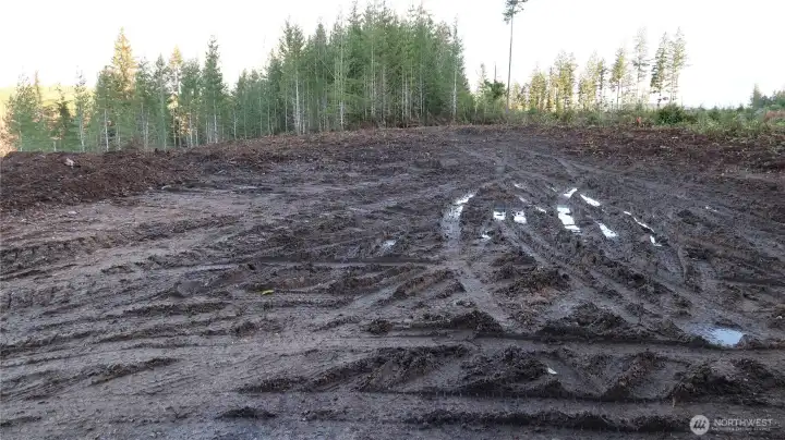 Spot is ready to for you to enjoy.