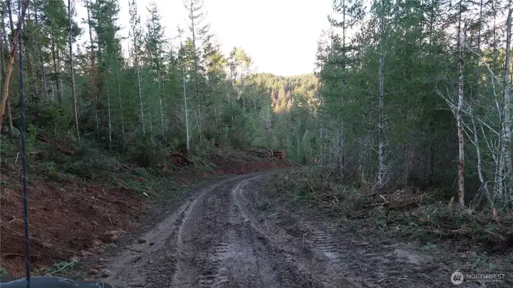 More of the driveway going down could be more buildable site.