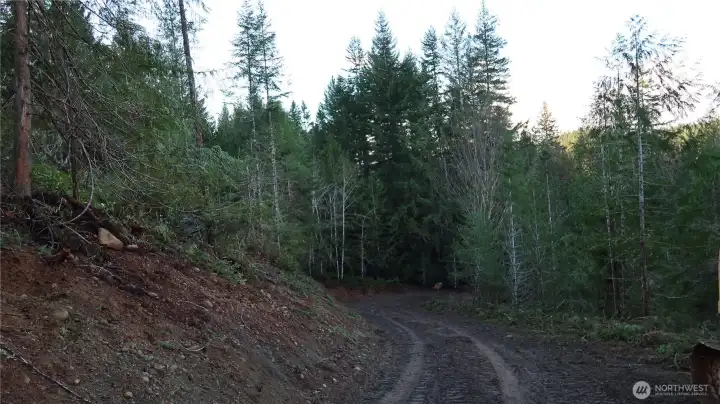 Driveway is nice and wide