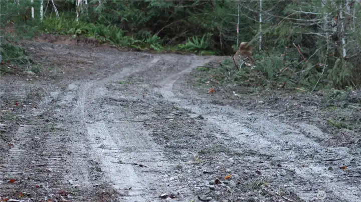Almost to the bottom of the driveway on Holly Dewatto Road.
