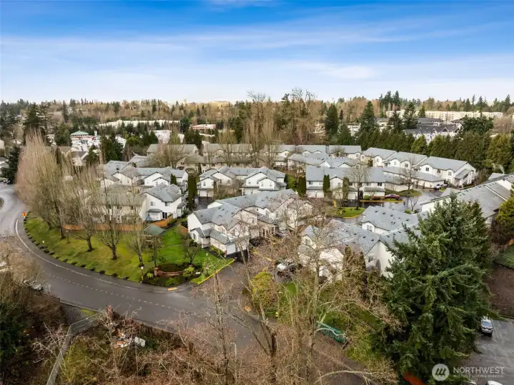 An areal photo of the community.
