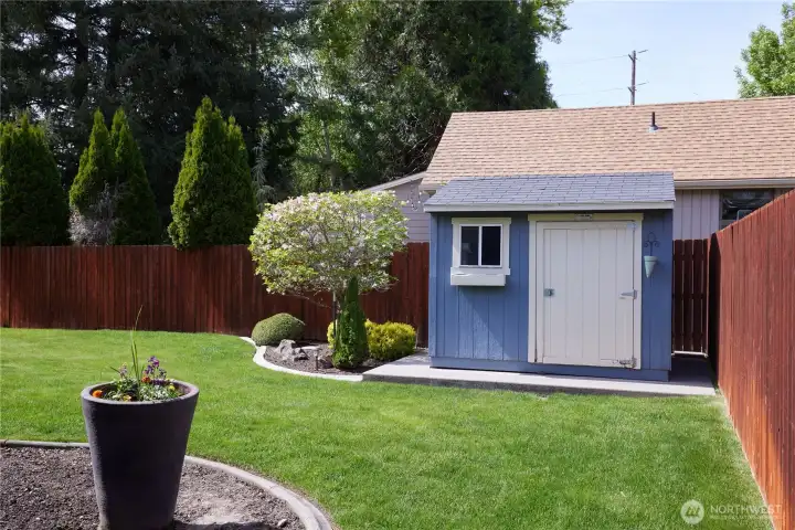 Shed in the back corner of the yard has plenty of pace for your garden tools and games.