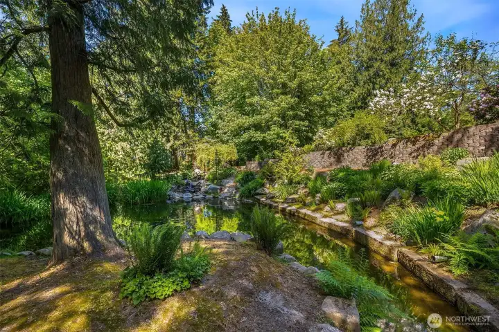 Your own post card setting.  Practice your fly-fishing in your well-stocked Trout pond.  Watch the Eagles do their own fishing.