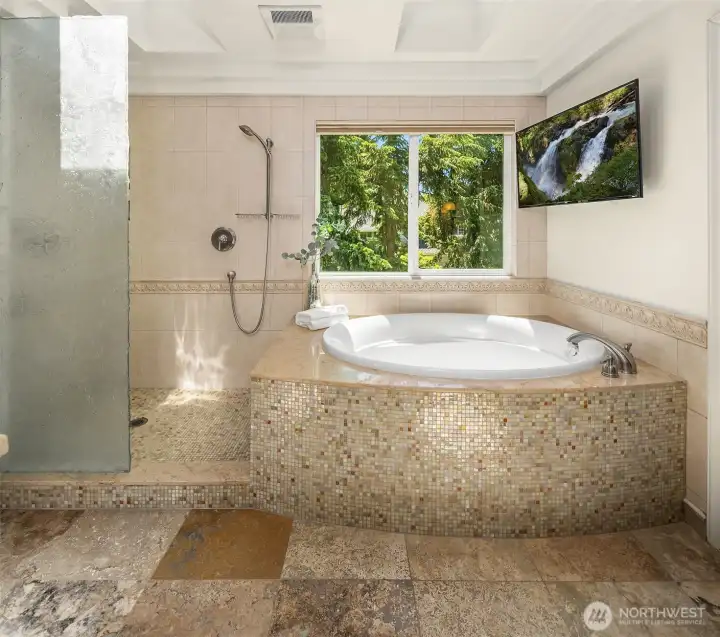 Stunning custom soaking tub and shower. Watch a movie while you soak!