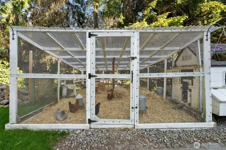 The chickens are happy and spoiled in this custom chicken coop with an attached run - come see the new babies in person!