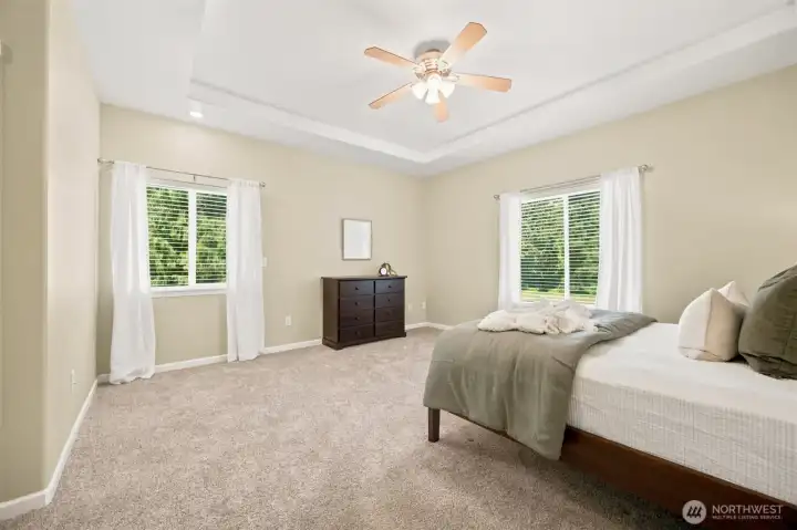 Spacious main-level primary suite with tray ceiling and peaceful views Spacious main-level primary suite with tray ceiling and peaceful views