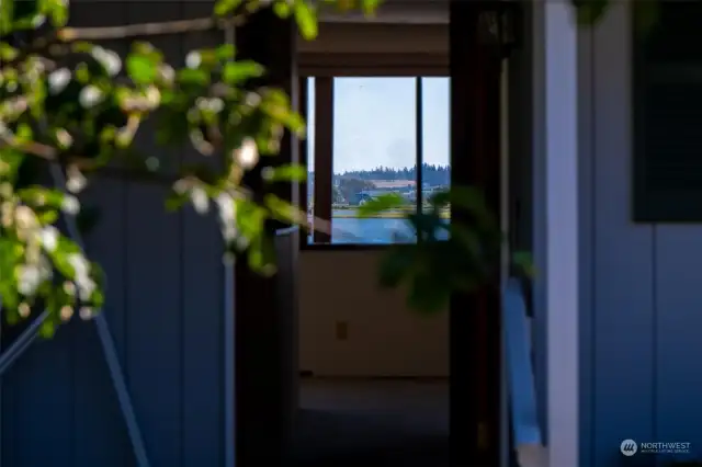 More views looking out from inside the home.