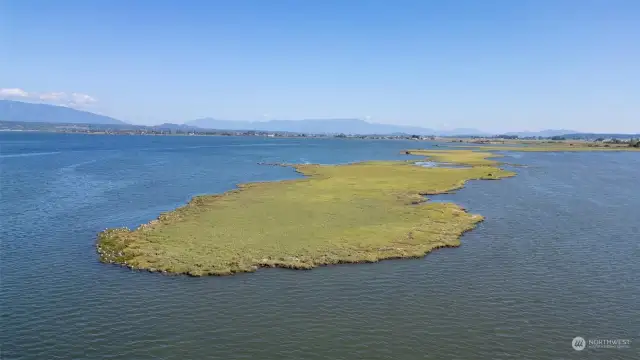 Seals sun bathe, eagles hunt, terns, herons and other birds feed and rest on this land in Alice   Bay.