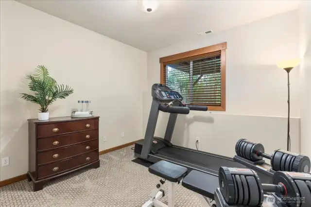 Lower Level Bedroom offering space for an ADU, or extended family.