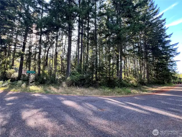 Excellent tree canopy providing privacy for your island retreat!