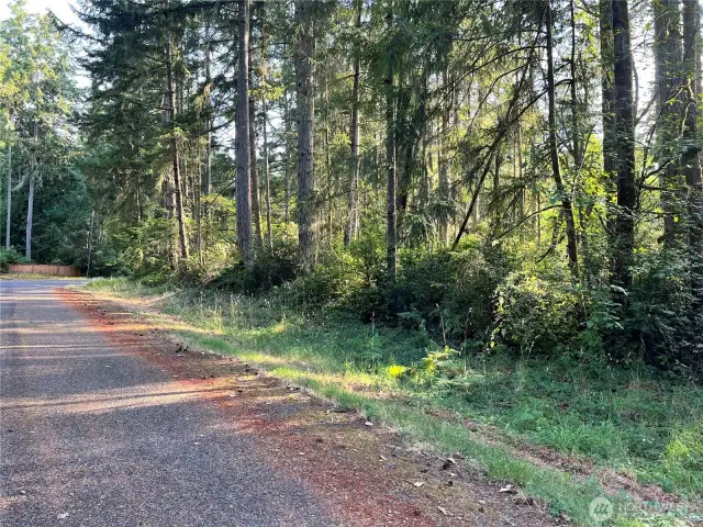 Looking back to the corner of the property.