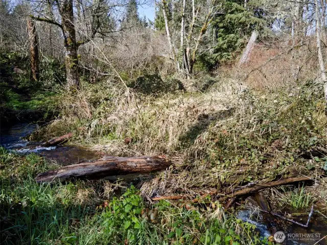 Creek frontage