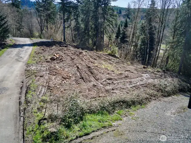 Homesite