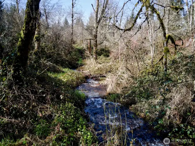 Dee Creek Frontage!