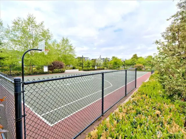 Tennis Courts