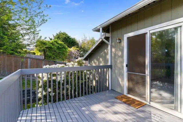Back deck