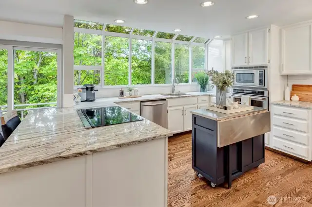 Updated kitchen with granite and induction cooktop