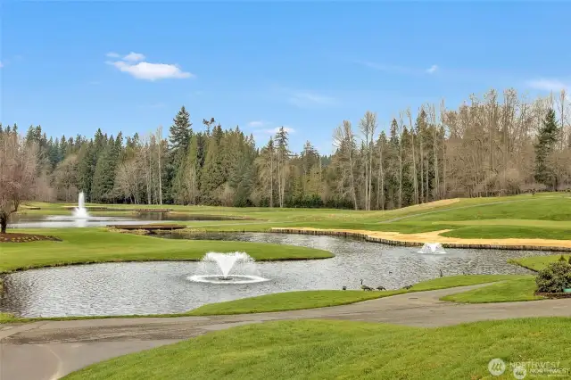 Nature's finest. Watch Eagles soar above