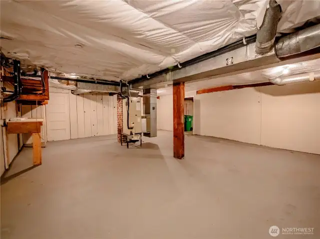 SHOP AREA IN GARAGE...GUESS WHAT...IT'S HUGE TOO!