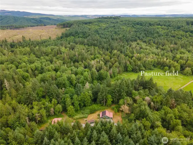 Beautiful pasture below where Elk & Deer live!  Sportsman Paradise, make it your private hunting reserve.
