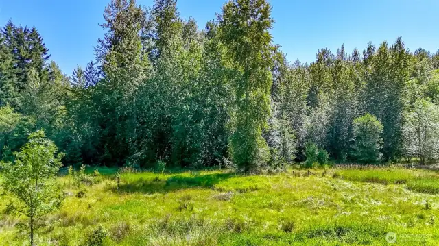 Muck Creek frontage