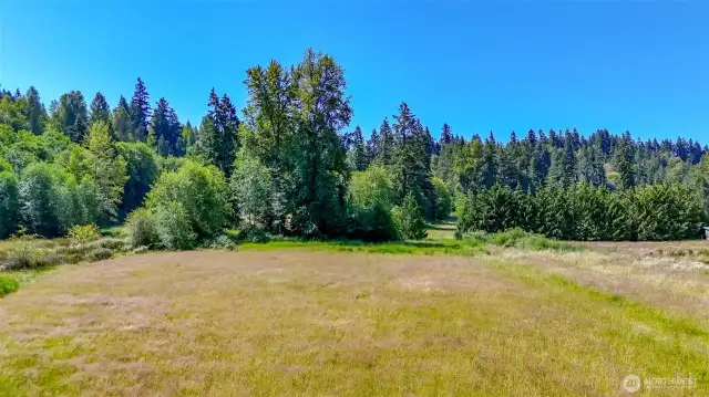Clean pastures