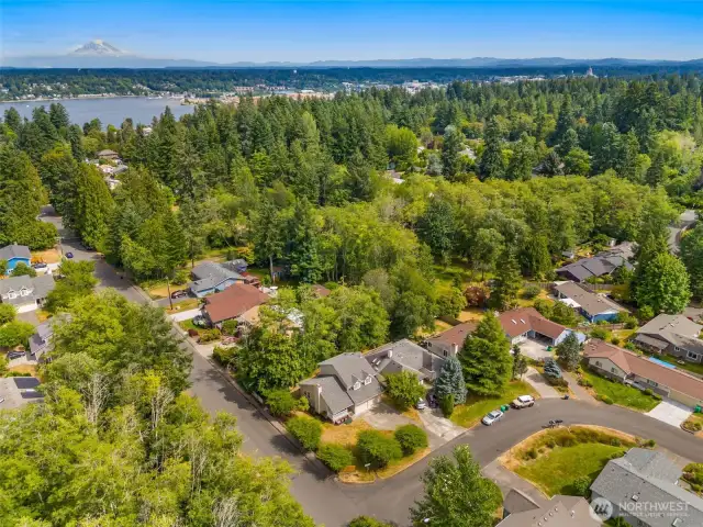 Beautiful Westside neighborhood