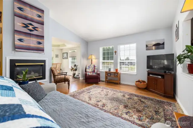 Living room, bamboo floor, natural gas fireplace.