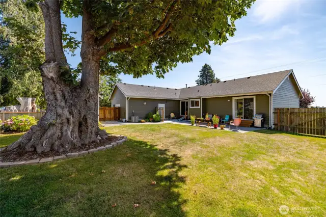 A perfect shady spot for your hammock!  Back of house from fenced yard.  Two separate sliders provide access to the back yard.